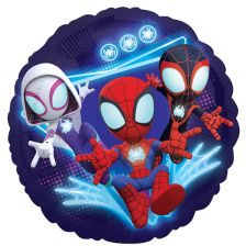 Standard Spidey & His Amazing Friends